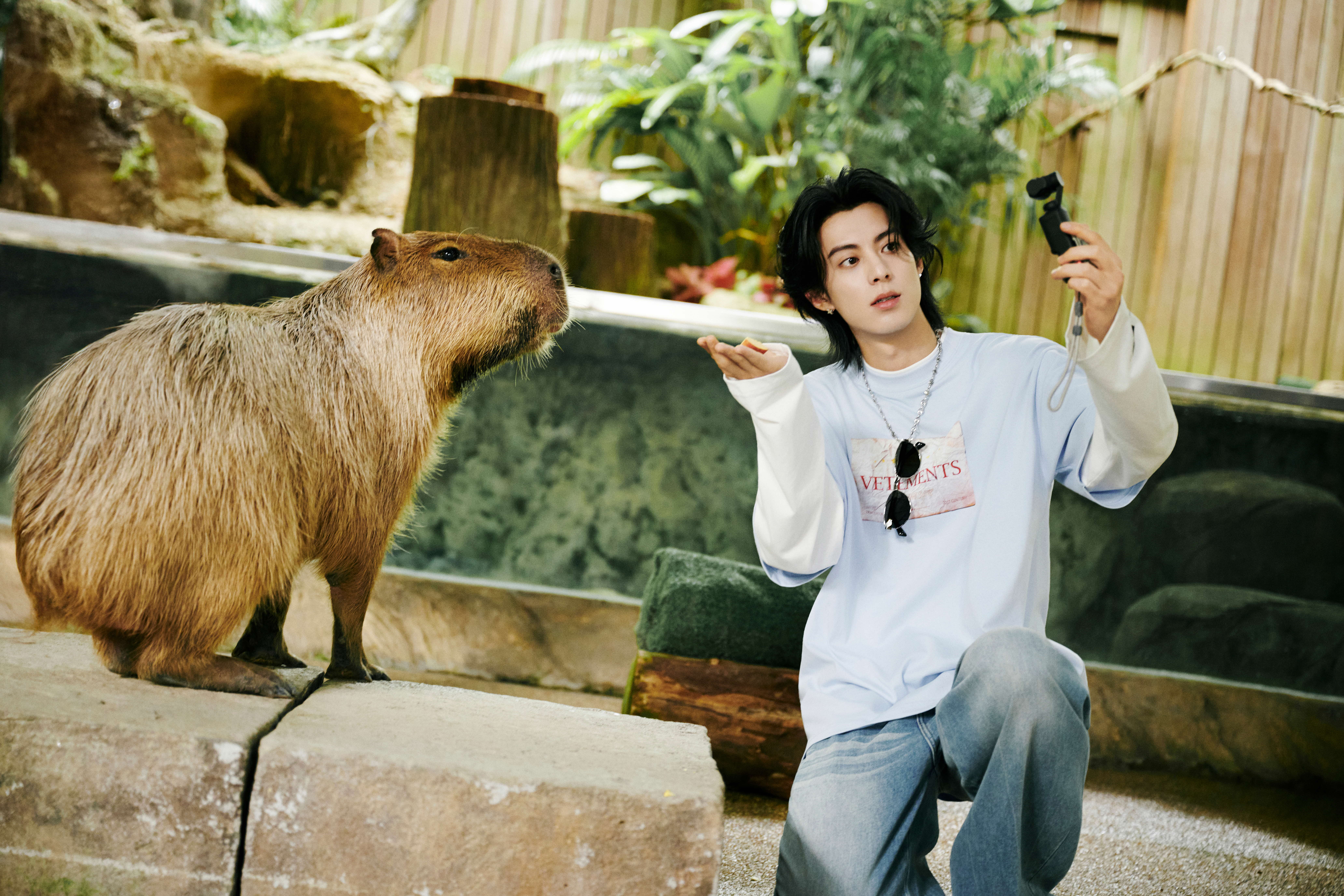 Dylan Wang at River Wonders at Mandai Wildlife Reserve